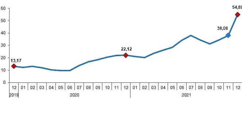 Hizmet Üretici Fiyat Endeksi, Aralık 2021