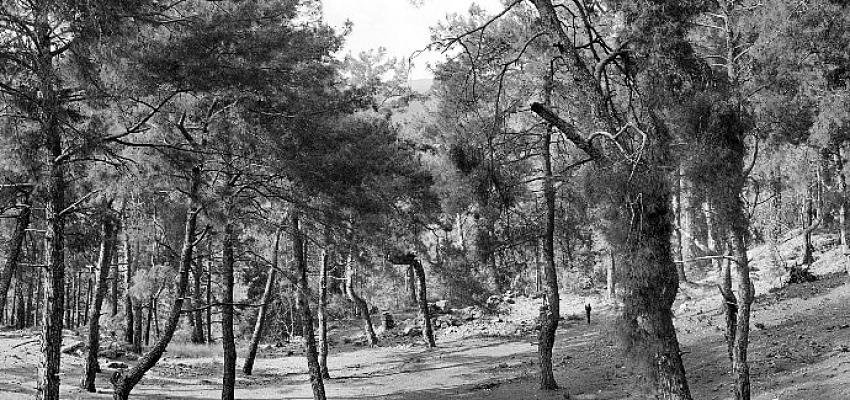 Anamed Sergilerinin 10. Yılı “Geçmiş ve Şimdinin Buluşması: Fotoğrafik Bir Keşif”  Sergisi İle Kutlanıyor