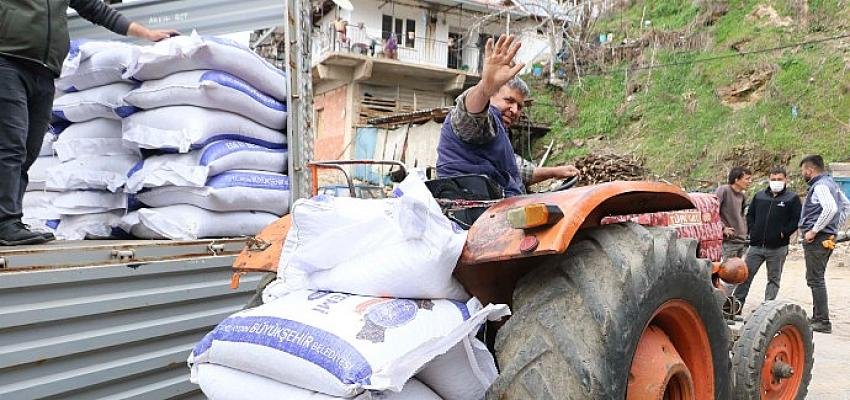 Aydın Büyükşehir Belediyesi’nden Üreticiye Yem Desteği