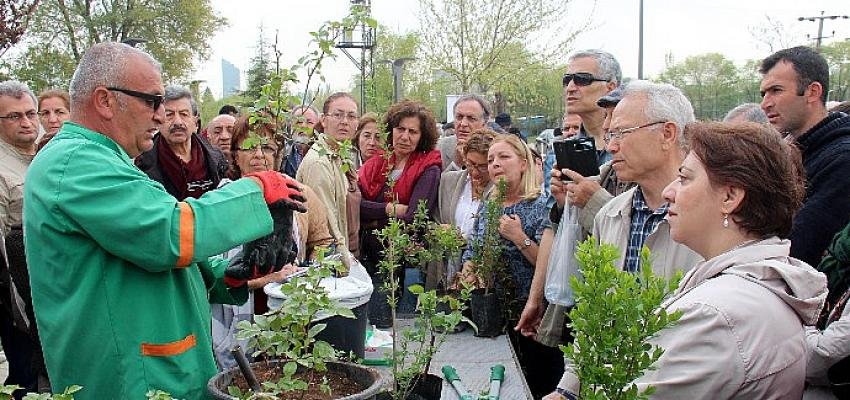 Bahçıvanlık Eğitimleri İçin Kayıtlar Başladı
