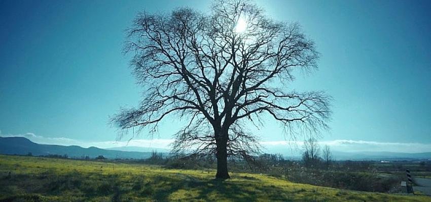 Bir şehirde Türkiye’nin tüm güzellikleri