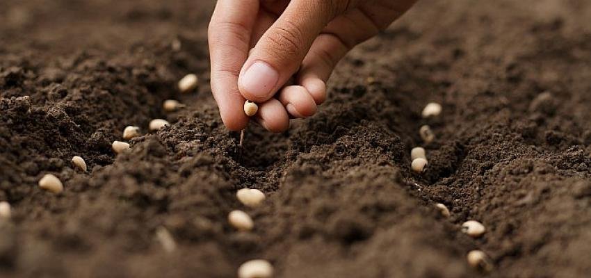 EİB ve SKD’den sürdürülebilir kalkınma için güçbirliği