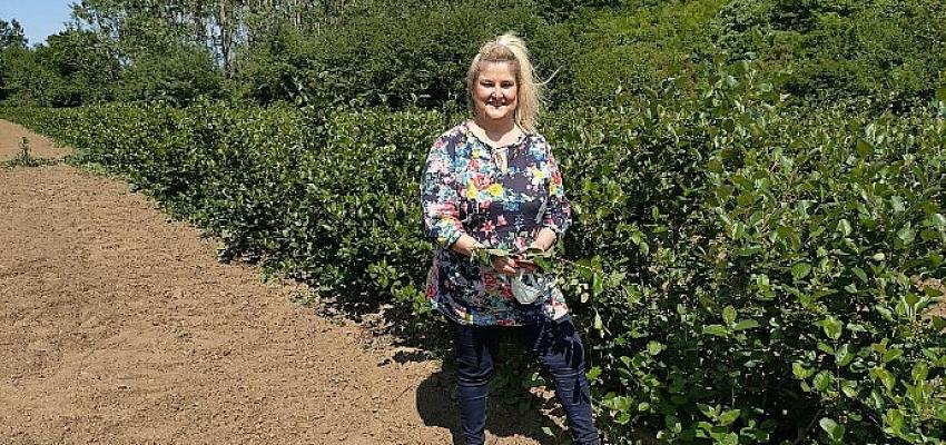 Kızılderililerin şifalı meyvesini dünyaya satıyor