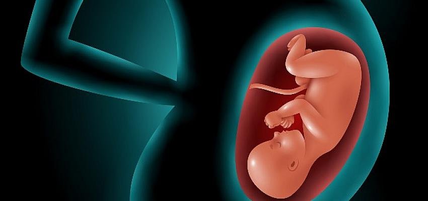 Yapay Rahim Tedavisi (Endometirial Ko-Kültür) Anne Adaylarına Umut Oluyor