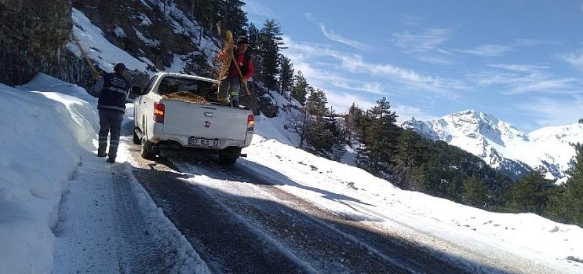 Alanya Taşatan Yolu’nda tuzlama çalışması yapıldı