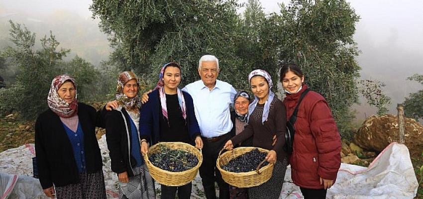 Başkan Gürün; “Zeytinliklerin Korunması İçin Hukuki Mücadele Başlatıyoruz”