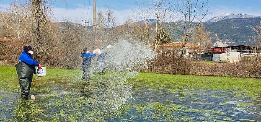 Büyükşehir’den Karabağlar Yaylası’nda Vektörle mücadelesi çalışması