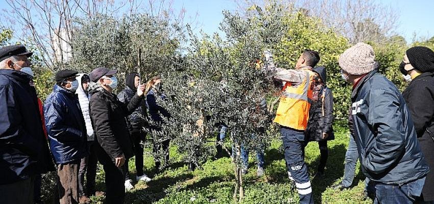Büyükşehir’den üretime destek