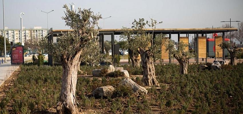 “Doğa Şehirde” projesi Mavişehir Balıkçı Barınağı’ndan başladı