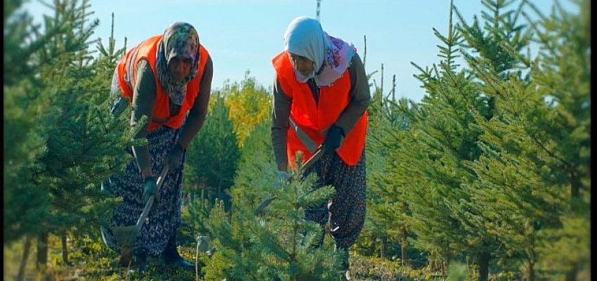 OGM’den Kadınlar Günü için anlamlı paylaşım