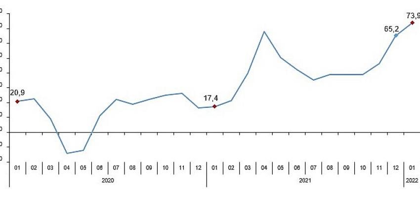 Perakende Satış Endeksleri, Ocak 2022