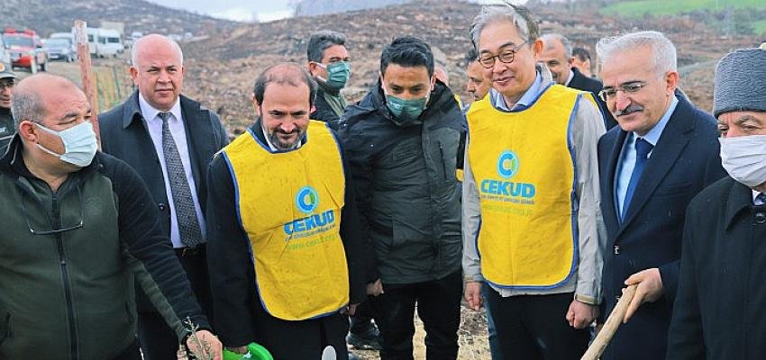 Türkiye – Kore dostluğu  580 bin fidanla kökleşti