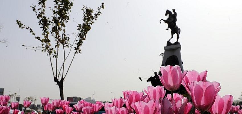 Baharın müjdecisi laleler kenti süslüyor Bahar geldi Antalya rengarenk oldu