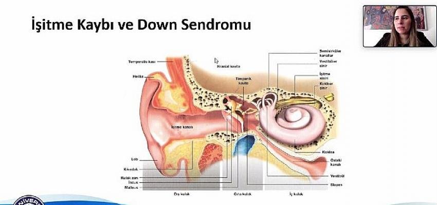 “Çocukların büyük bölümü hayatlarının bir döneminde