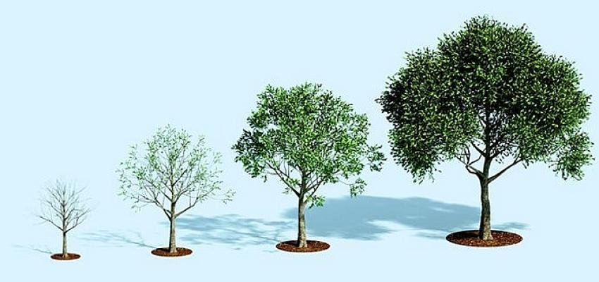 McKinsey & Company ve teknoloji devlerinden, iklim değişikliğiyle mücadeleye 925 milyon dolarlık bütçe taahhüdü