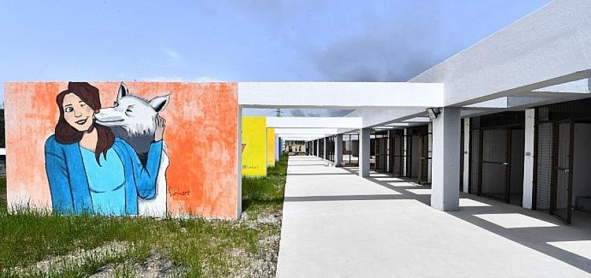 Pako Sokak Hayvanları Sosyal Yaşam Kampüsü 30 Nisan’da açılıyor