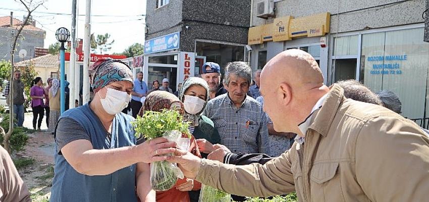 Saray Belediyesi Büyükyoncalı’da  ‘Halk Fide’ dağıttı