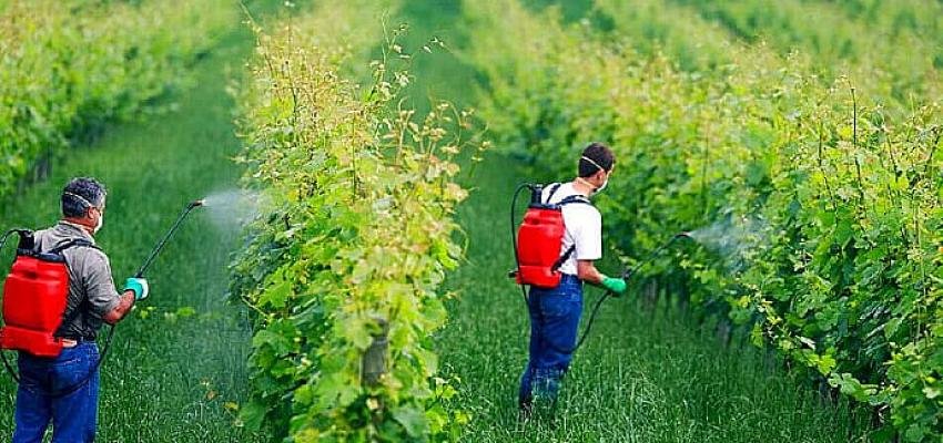 14 Mayıs Dünya Çiftçi Günü Pestisitler Çiftçileri Zehirliyor
