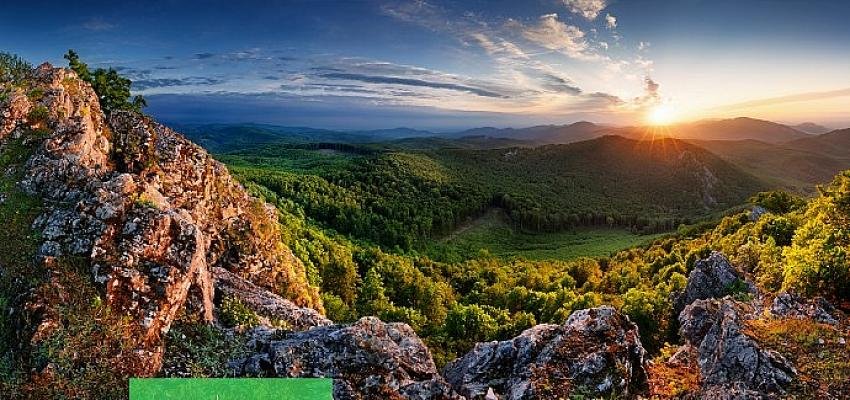 Schneider Sürdürülebilir Etki Programı’nın merakla beklenen ilk yıl sonuçları açıklandı