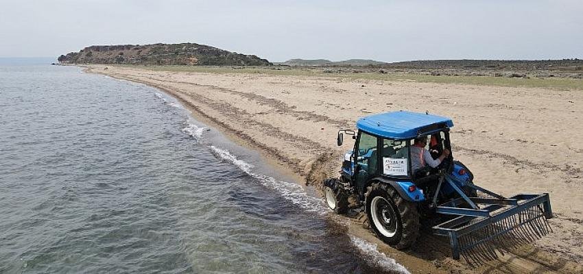 Turizmin Başkenti Ayvalık’ta  Sahiller Sezona Hazırlanıyor