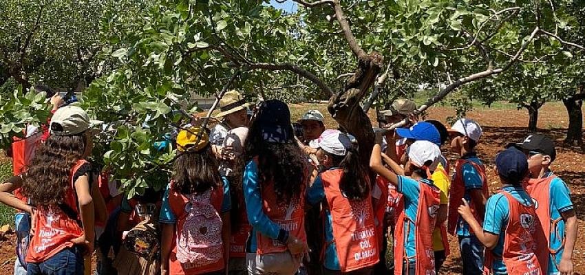 Çocuklar, Fıstığımız Bol Olsun Şenliği’nde eğlenerek öğrendi