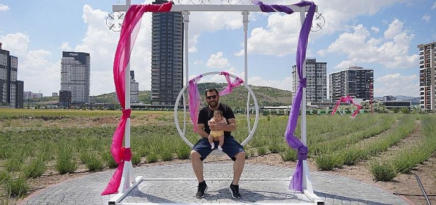 Fotoğraf Tutkunlarının Yeni Adresi Aromatik Bitkiler Bahçesi