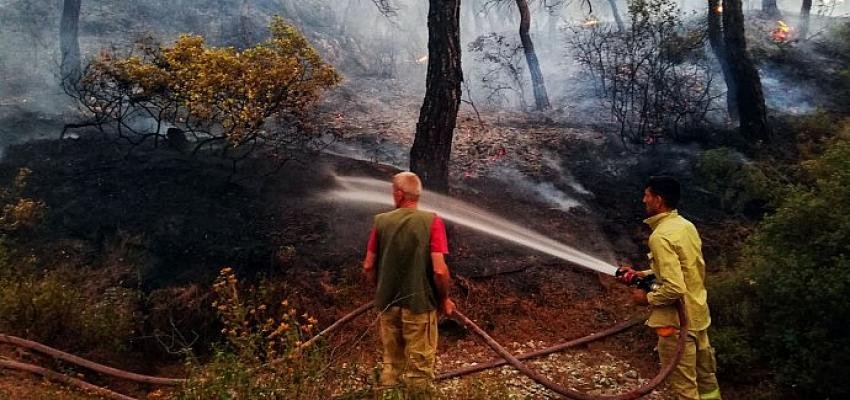 İzmir’de ormanlara koruma kalkanı