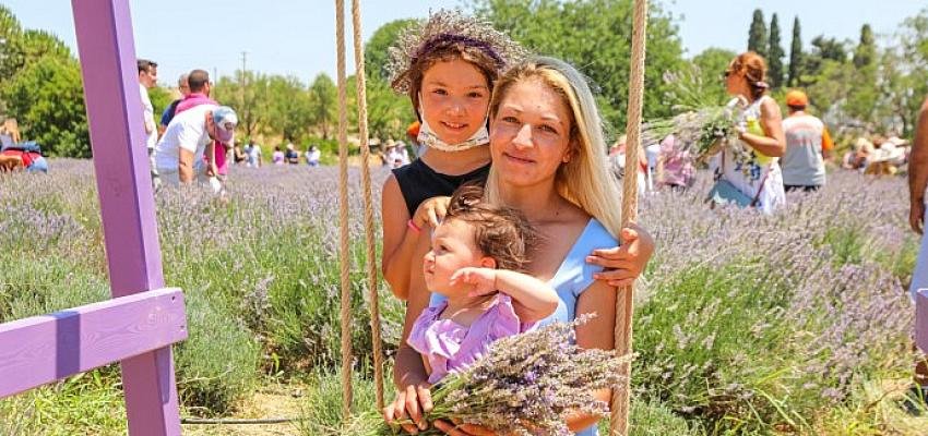 Seferihisar’da lavanta ve ekinezya hasadı şenlikle kutlanacak