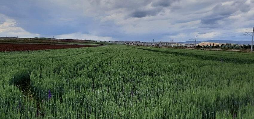 “Su Riskleri Projesi” Skd Türkiye, Ankara Üniversitesi ve Ülker İş Birliğiyle Başlıyor