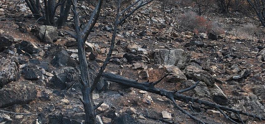 “Traces of Fire” by Şebnem Ünlü 16 – 29 Haziran tarihleri arasında Maslak’ta