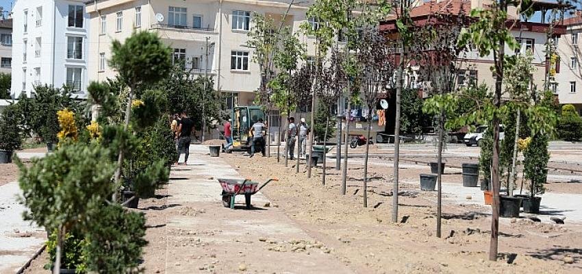 2000 Evler Mahallesi’ne Yeni Yapılan Parka Ağaçlar Dikildi