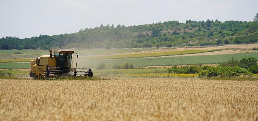 Başkan Gerenli’den buğday hasadı!  “40 ton buğday halk için un olacak!”