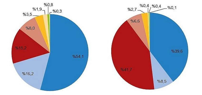 Haziran ayında 109 bin 277 adet taşıtın trafiğe kaydı yapıldı
