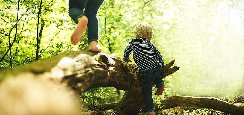 Merck’ten Sürdürülebilirlik Yolunda   Yeni Çevreci Tasarım