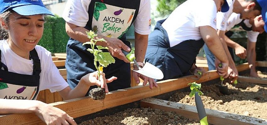 Sebze Yetiştirerek Gelişimlerine Katkı Sağlayacaklar