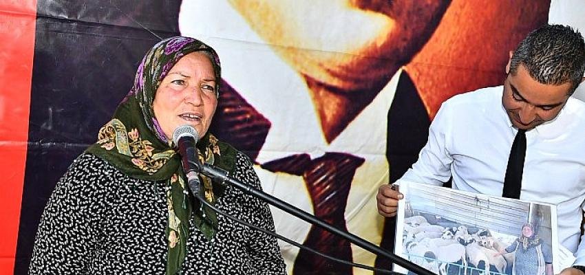 Sürüler büyüyor umutlar artıyor