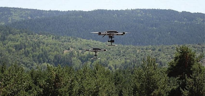 Yapay zeka, orman yangınlarına da çözüm oluyor