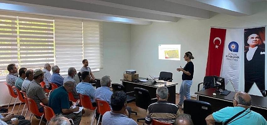 Antalya Büyükşehir’den Aksekili üreticilere destek