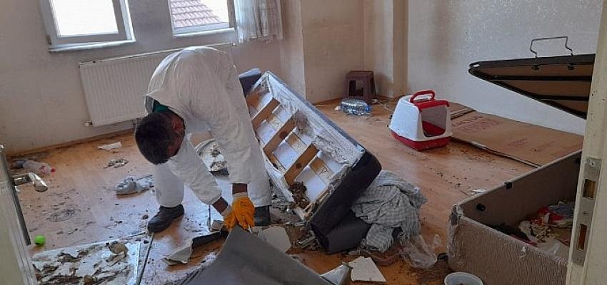 Çöp evden onlarca kedi çıktı