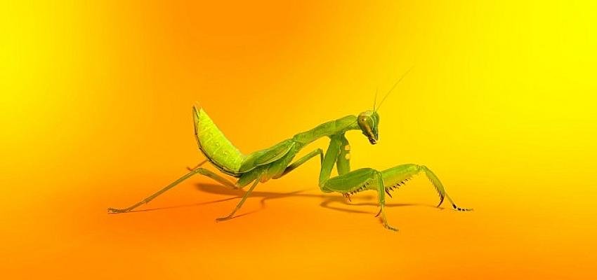 CosmicStrand: Yeni gelişmiş firmware rootkiti son derece inatçı