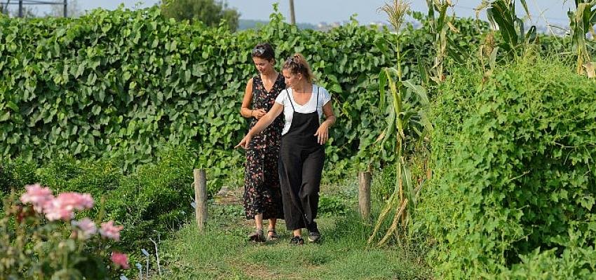 Fransa’dan bisikletiyle geldi  Nilüfer’in tarım çalışmalarını inceledi