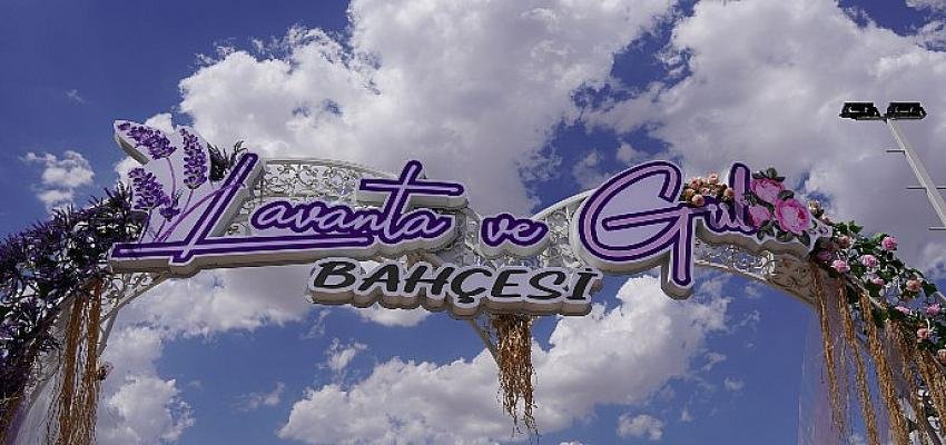 Gece Gündüz Rengarenk Plato