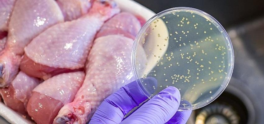 Gıda Zehirlenmesinde Erken Müdahale Tedaviyi Kolaylaştırıyor