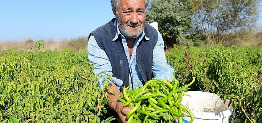 Nilüfer, Milano Paktı’na katıldı