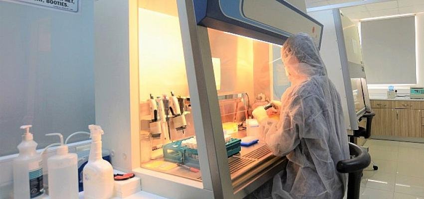 Türk bilim insanları Maymun Çiçeği için PCR Tanı Kiti geliştirdi!