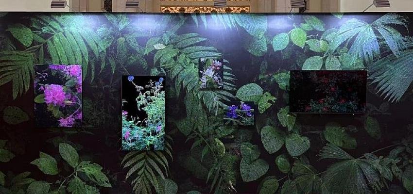 Akbank Sanat Başka Seseler Başka Odalar Sergisi İle 17.Contemporary İstanbul’da