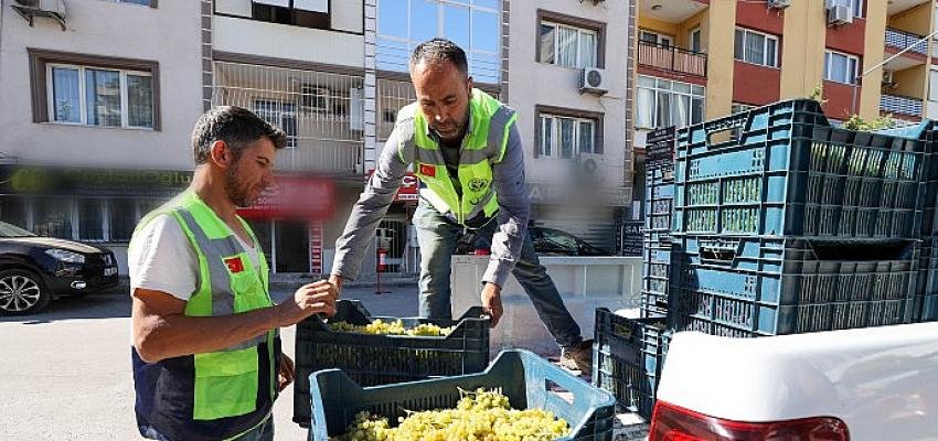 Bağcılık kültürü canlanıyor,  sofralar şenleniyor