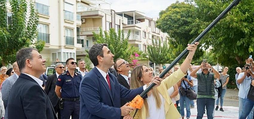 Didim’de Ata ağaçlarında zeytin hasadı gerçekleştirildi