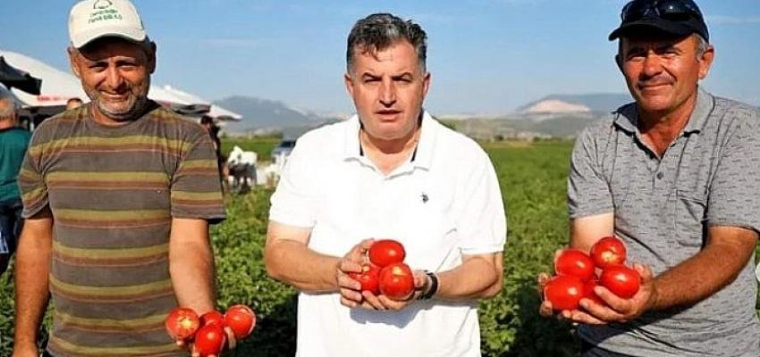 Kınık Kuru Domatesi Artık Bir Marka