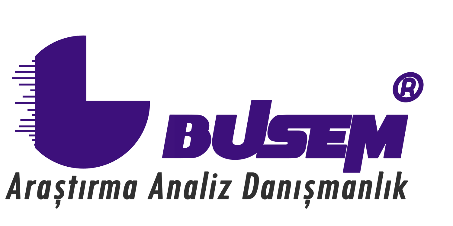 Busem Araştırma Logo
